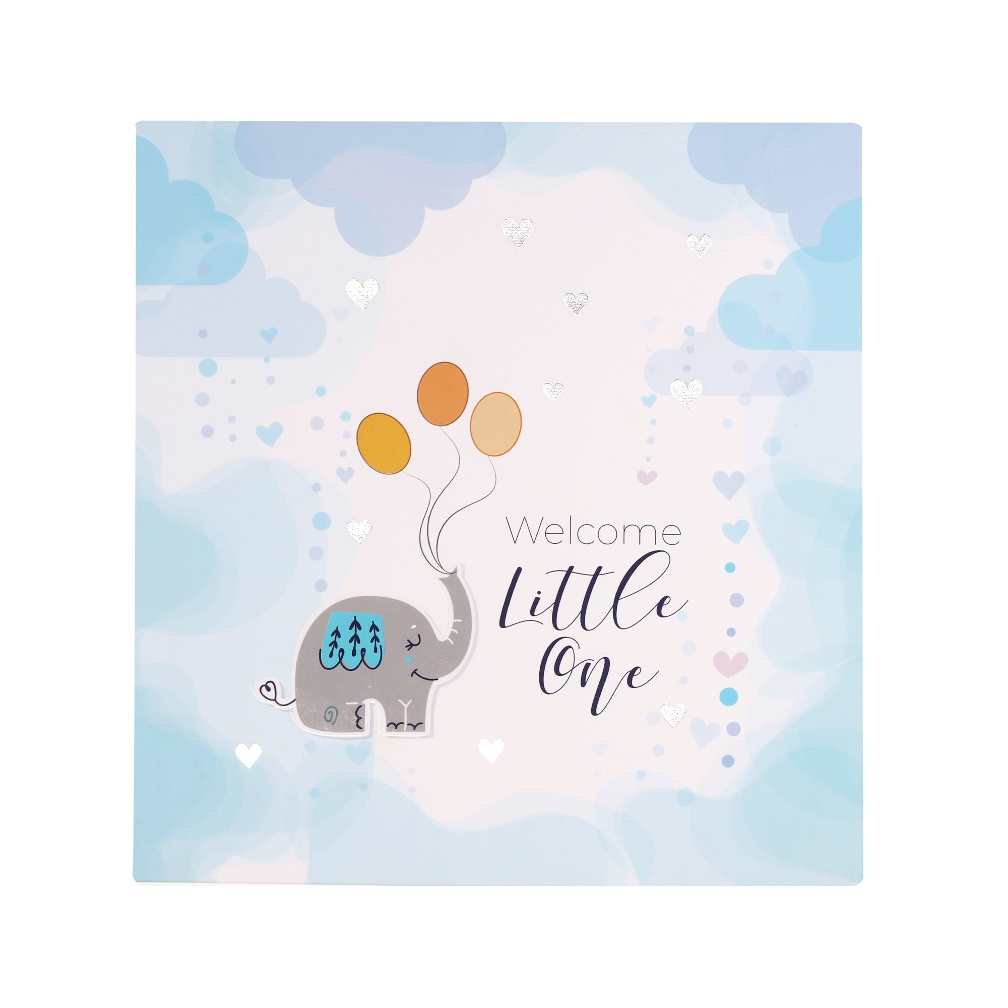 Little Wonder Baby Record Book